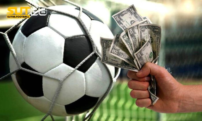 Ví dụ minh họa về cách đọc kèo bóng đá Châu Âu