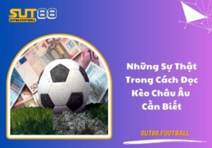 Những sự thật trong cách đọc kèo bóng đá Châu Âu cần biết