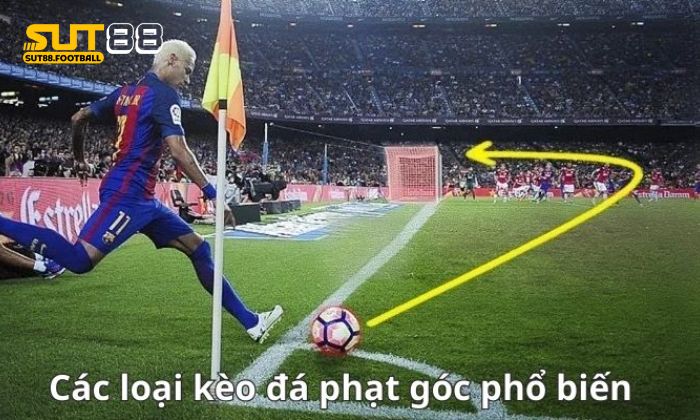 Các tỷ lệ phổ biến khi bắt kèo góc cần biết