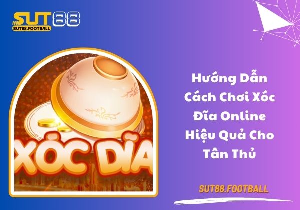 Hướng dẫn cách chơi xóc đĩa online hiệu quả cho tân thủ